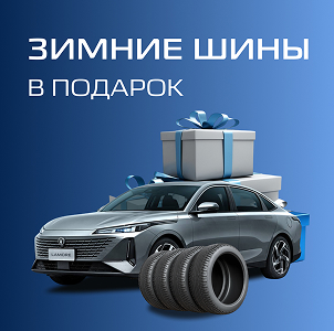 Зимние шины в подарок